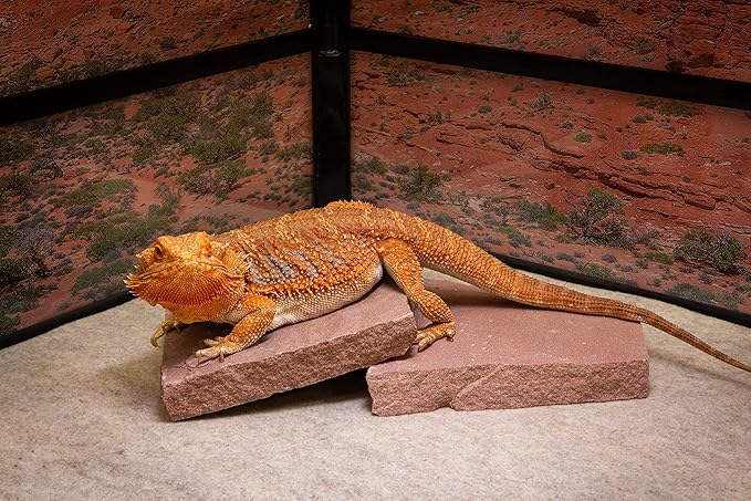 Natural Habitat Basking Rocks for Reptiles, Wyoming Rose, Medium Size Pair,