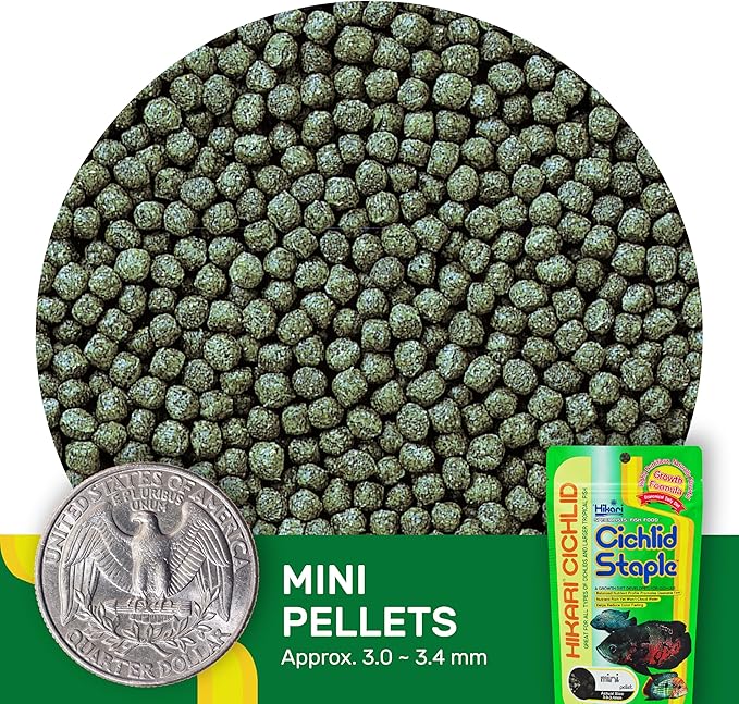 Hikari 2-Ounce Cichlid Staple Floating Pellets For Pets, Mini
