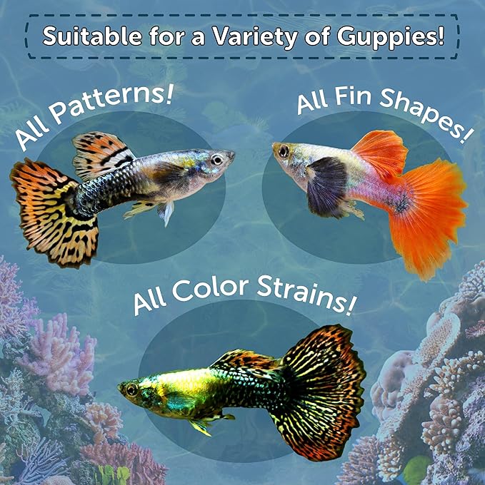 Flakes, Premium Guppy Flakes Also for Tetras, Live Bearers Great for All Community Tropicals. Premium AF Guppy Flakes - 1/4-lb