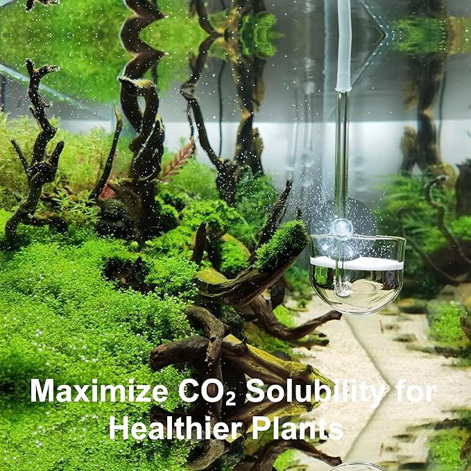 Music Glass CO2 Diffuser for Aquarium Plant (2'' for Tank Beyond 75 gallons)