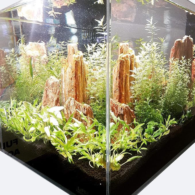 LIFEGARD Low Iron Ultra Clear 4 Gallon Crystal Aquarium with Built in Back Filter with High Polish Filter Sock – 45° Beveled Edge, Rimless Glass, Rectangular Style with Directional Jet Flow