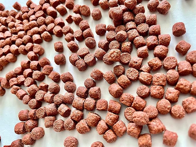Zeigler Fish Food (33 LB Bag) 5mm Floating Pellets for Koi and Goldfish, Performance Fancier Diet for Enhancing Color - Fortified with V pak and Spirulina