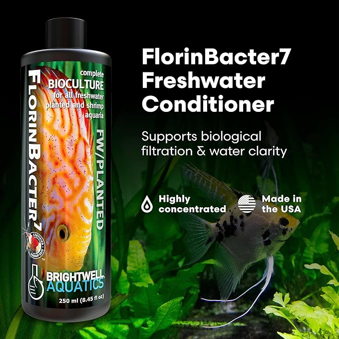 Brightwell Aquatics FlorinBacter7 Freshwater Aquarium Conditioner | Supports Biological Filtration | Removes Ammonia, Nitrite & Nitrate | Improves Water Clarity, 500 ml