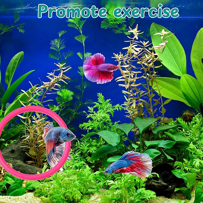 Betta Fish Enrichment Toys Ring with Mirror and Floating Ball, Exercise Mirrors and Training Ring, Floating Mirrors Aquarium with Feeding Rings, Betta Fish Tank Accessories (Pink+Mirror+Ball, 6.4cm)