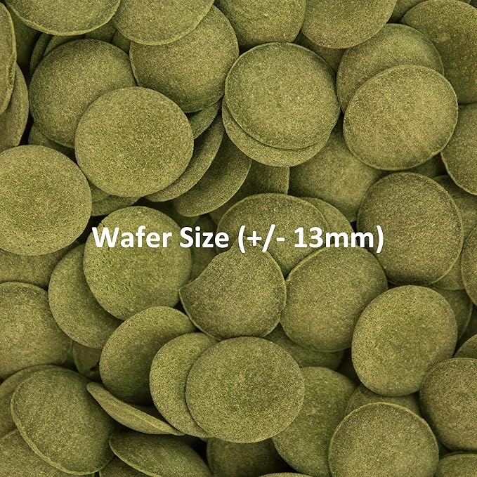 Ocean Nutrition Algae Wafers, Tropical Fish Food, Pleco Wafers, Algae Wafers for Bottom Feeders, Nutritionally Balanced Vegetarian Fish Food for Herbivorous Bottom Feeders, 2.6 oz (75 g)