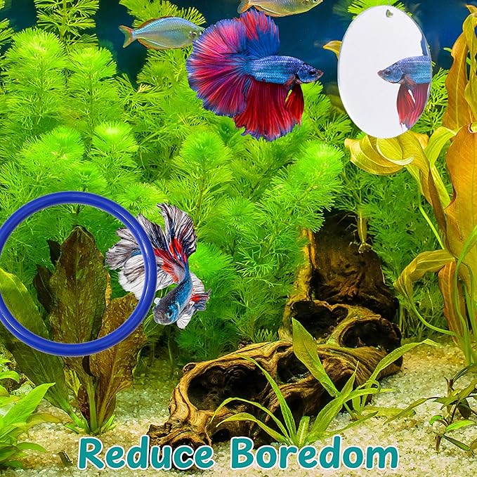 Betta Fish Enrichment Toys Ring and Mirror , Floating Exercise Mirrors And Training Ring, Floating Mirrors Aquarium With Feeding Rings, Fish Toys, Betta Fish Tank Accessories (Blue+Mirror, 6.4cm)