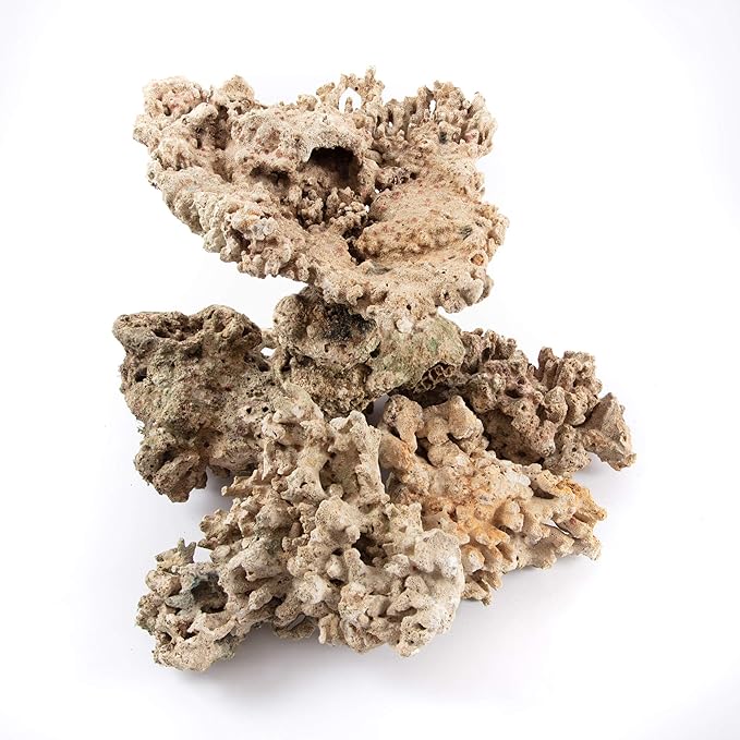 iQuatics Aquarium Dried Reef Rock Mixed Pack (5kg)