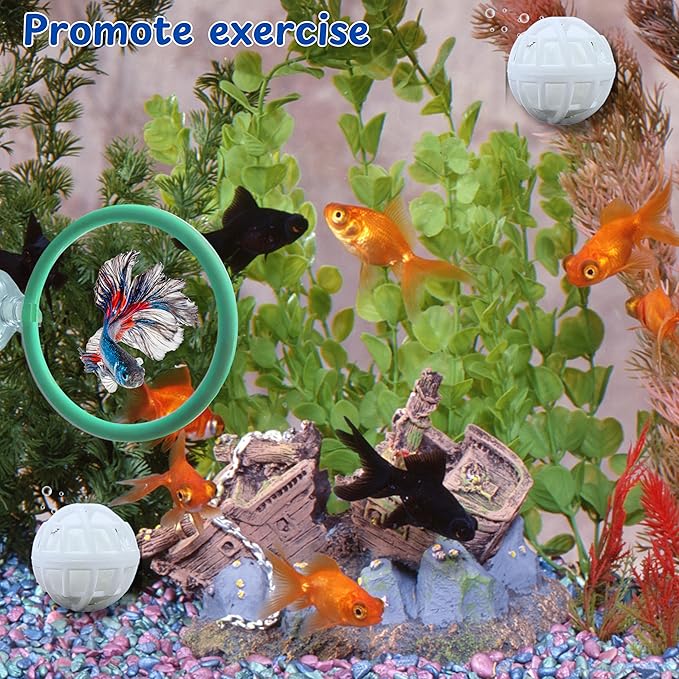 Betta Fish Exercise Ring and Filter Balls Set, Fish Feeder Ring and Nitrifying Ball, Betta Fish Toys for Small Tank, Betta Ring, Beta Fish Training Loop, Aquarium Toys for Pets Turtle (Green, M-70mm)