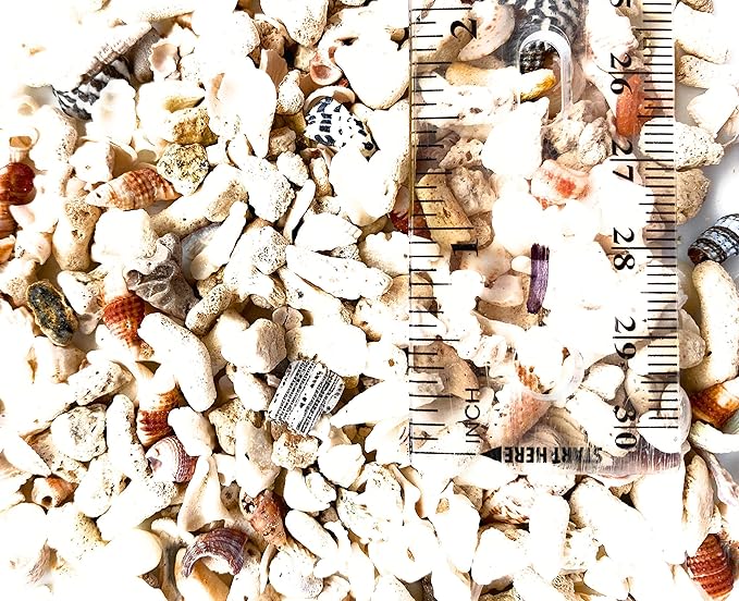 Middle Keys Marine Life LLC FINE Florida Keys Crushed Coral Aquarium Gravel 2.5 LB (~70 in3) for Aquariums, Terrariums, Vases, Landscaping, Bonsai, School Projects, Shell ID, Bio-Filtration