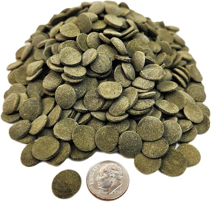 12mm - 1/2" Spirulina, Algae, & Veggie Sinking Wafers for All Bottom Feeding Fish, Plecos, Catfish, Shrimp, Snails, Crabs. All Tropical Fish. - WL…10oz Jar