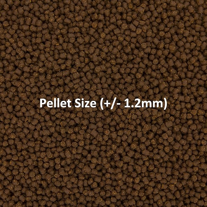 Ocean Nutrition Fish Food - Cichlid Pellets, High Protein (41%) Soft Moist Sinking Pellets for Omnivorous Predatory Cichlids - Enhances Color & Growth, 3.5 oz (100 g), Small Pellet