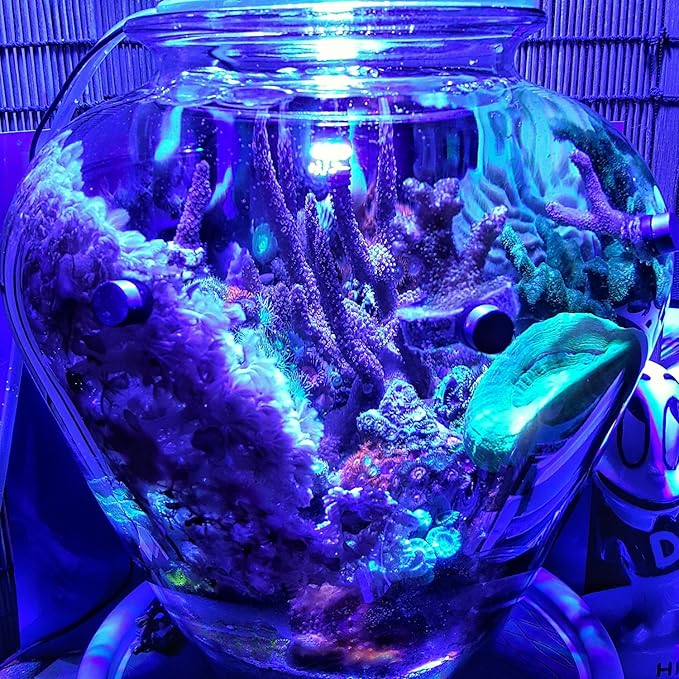 ABI 12W Tuna Blue LED Bulb Coral Reef Optimized Spectrum PAR38