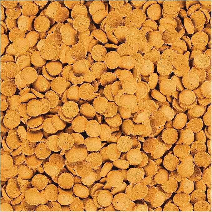 Tetra ShrimpWafers Complete Diet for Catfish and Loaches 3 Ounce,(Pack of 2)