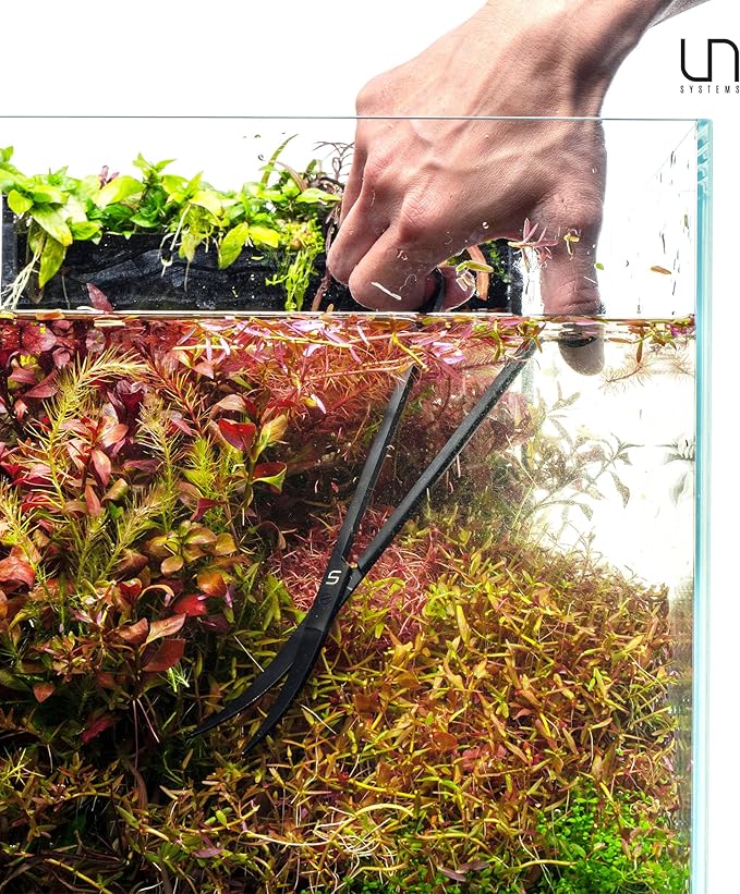 UNS Aquascaping Tools - Stainless Steel, Rust Resistant, Freshwater Planted Tank, Saltwater Reef Aquarium Maintenance Accessory - Trimming Stems & Carpets, Coral Cutting - Curved Scissors, Black