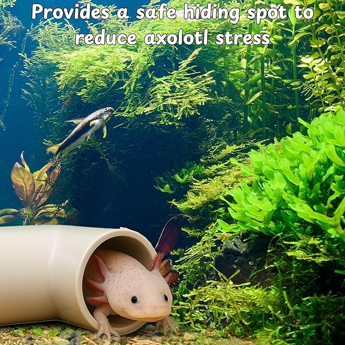 Axolotl Hide Tube and Silk Plants for Aquarium, Axolotl Cave and Aquatic Plant Set, Axolotls Hides and Green Plants, Aquarium Decor, Fish Tank Decorations, Turtle Tank Accessories (White, 11 * 3.5in)