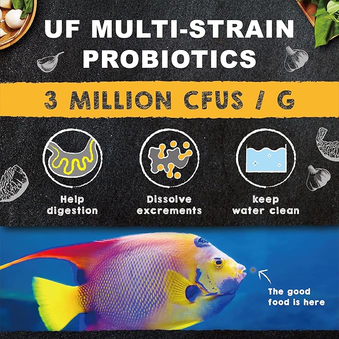 Ultra Fresh Marine Fish Food, 75% Sword Prawns + Squids, Natural Protein, Color Enhancement, for Large Saltwater Fish, Marine Shrimp Patties L 2.12oz