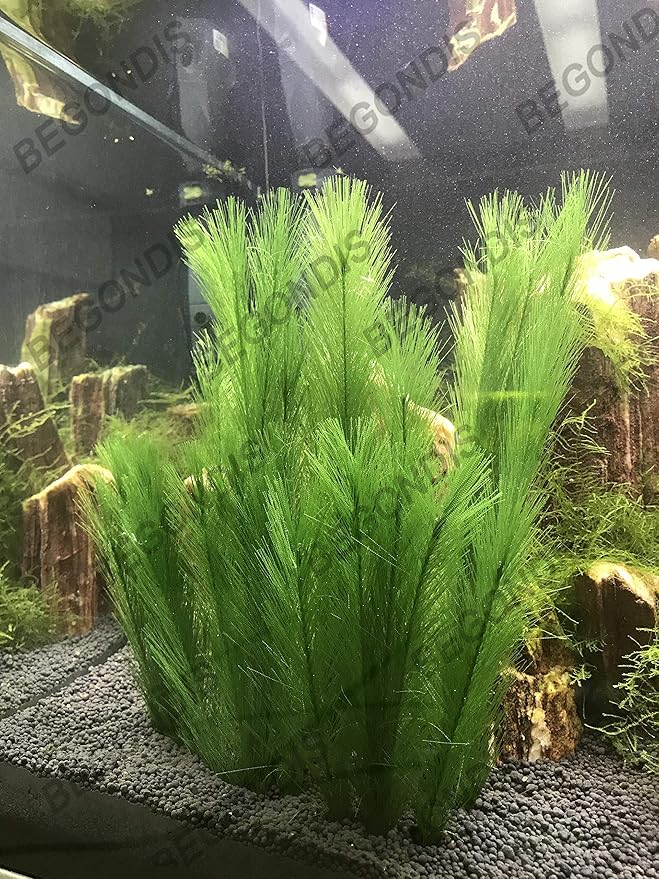 Aquarium Decorations 3Pcs Fish Tank Artificial Green Water Plants Made of Silk Fabrics Plastic