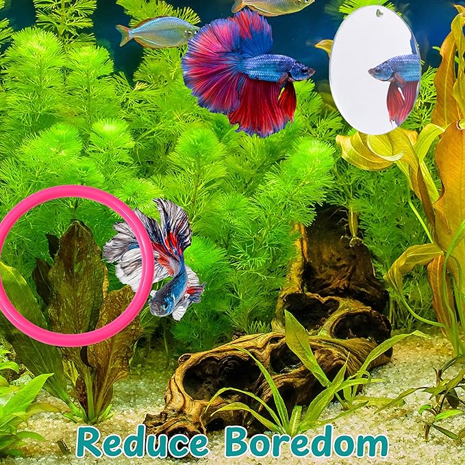 Betta Fish Enrichment Toys Ring with Mirror and Floating Ball, Exercise Mirrors and Training Ring, Floating Mirrors Aquarium with Feeding Rings, Betta Fish Tank Accessories (Pink+Mirror+Ball, 6.4cm)