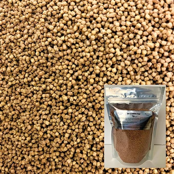 Toledo Goldfish Ornamental Live Goldfish and Koi Food for Ponds, Aquariums, and Tanks - Mini Floating Pellets - 1.5mm, 24 Ounces
