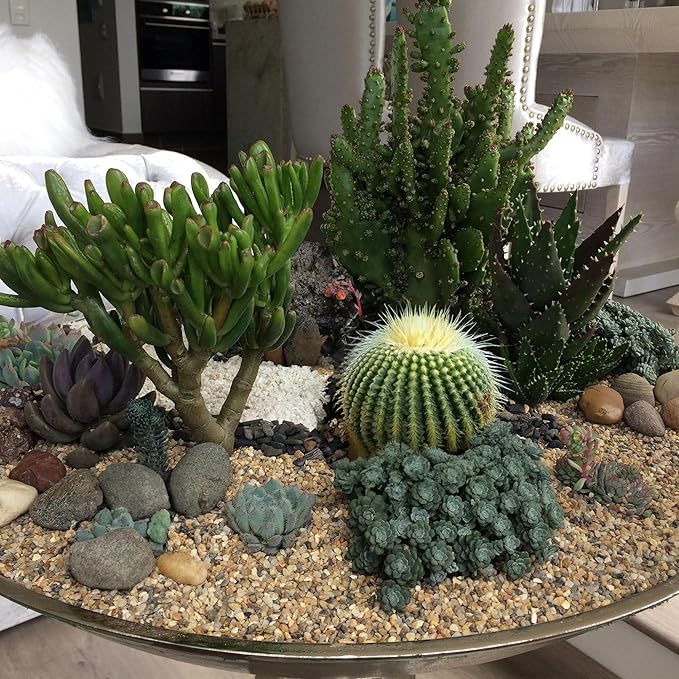 10 lbs Aquarium Gravel, 3-6mm Fish Tank Gravel, Succulent Cactus Pea Gravel for Indoor Plants, River Rocks for Gardening, Flower Pots, Vase Fillers, Garden Landscaping