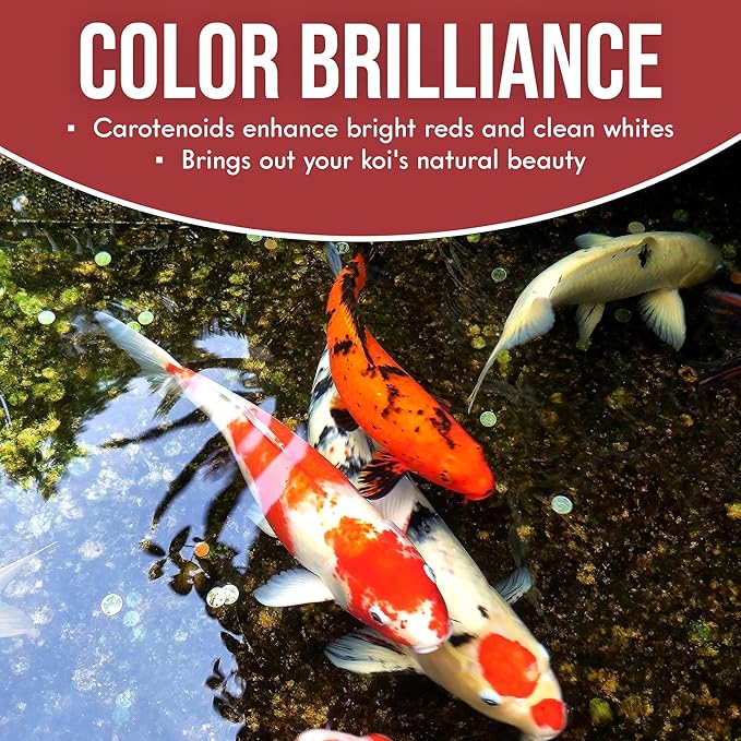 Color Extra Swim Koi Food (1 Pack 2.5lb)