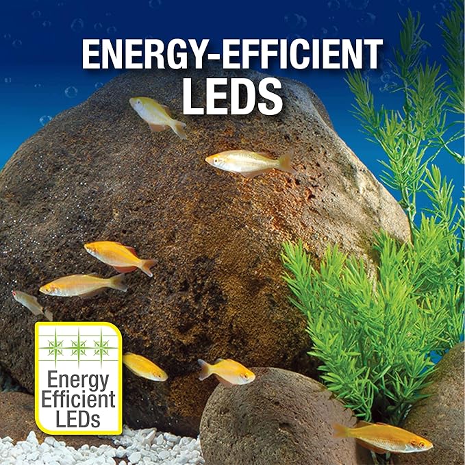 Tetra Aquarium, 20 Gallon, Complete Tropical Fish Tank Kit with LED Lighting for Freshwater Fish
