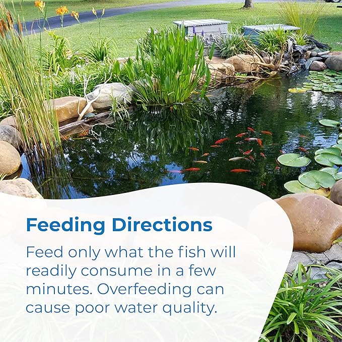 Toledo Goldfish Ornamental Live Goldfish and Koi Food for Ponds, Aquariums, and Tanks - Flake Food, 4.8 Ounces