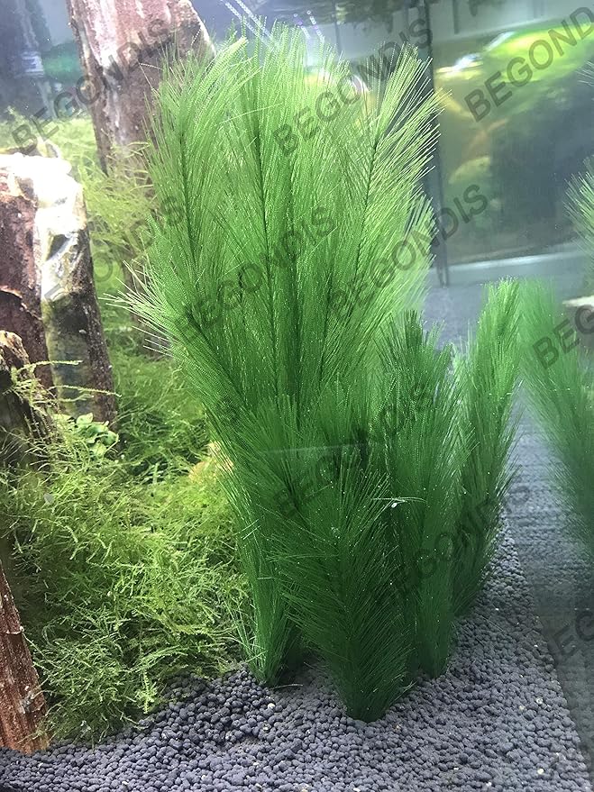 Aquarium Decorations 3Pcs Fish Tank Artificial Green Water Plants Made of Silk Fabrics Plastic