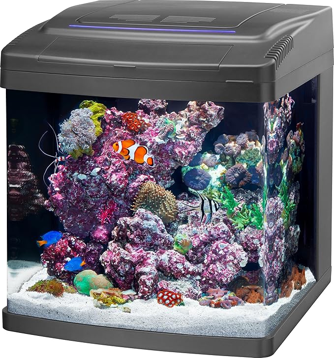 Coralife SMART BioCube Jr, Aquarium Kit, Wi-Fi and Bluetooth Compatible, for Saltwater and Freshwater Environments, 14 Gallons