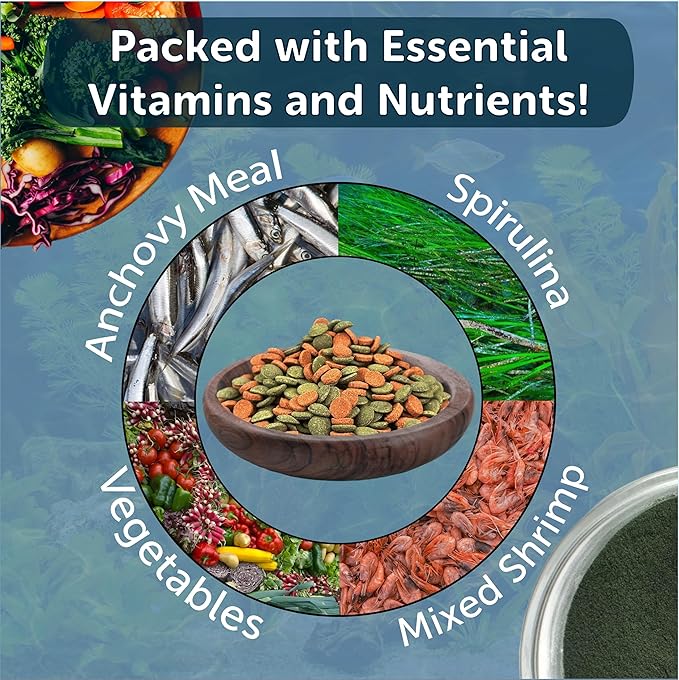 8mm - 1/3" Small Sinking Wafers of Spirulina, Algae & Color Enhancing Wafers for Bottom Fish, Shrimp, Snails & Tropicals. With 4-Type Wafer & 12-Type Pellet Mix ...1-lb 5oz Canister