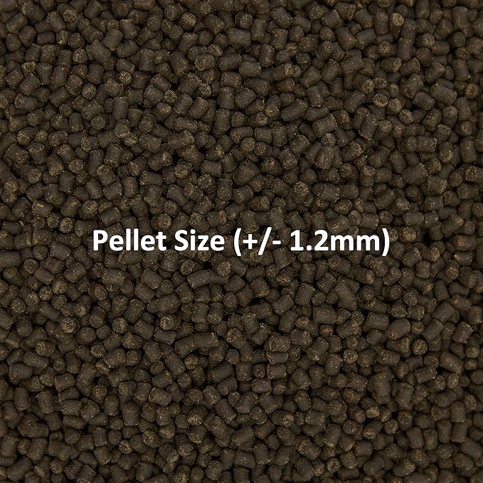 Ocean Nutrition Formula Two Pellets - Fish Food for Herbivorous & Omnivorous Marine Tropical Fish, High Protein(40%) - 14 oz (400 g) Small Pellets