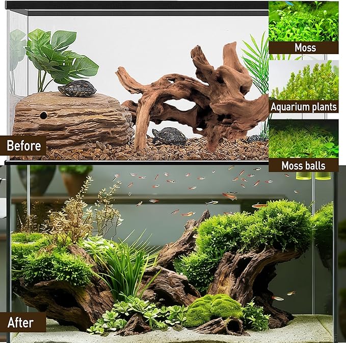 Kaiyuan Dynasty 2Pcs 10-12" Natural Coral Driftwood for Fish Tank Decorations Aquarium Driftwood for Reptile Aquatic Plants Aquascaping