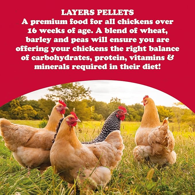 Feathers and Beaky & Beaky Free Range Layers Pellets 15kg, Clear