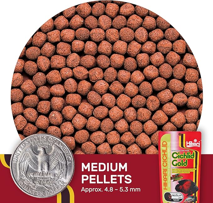 Hikari 2-Ounce Cichlid Gold Floating Pellets for Pets, Medium