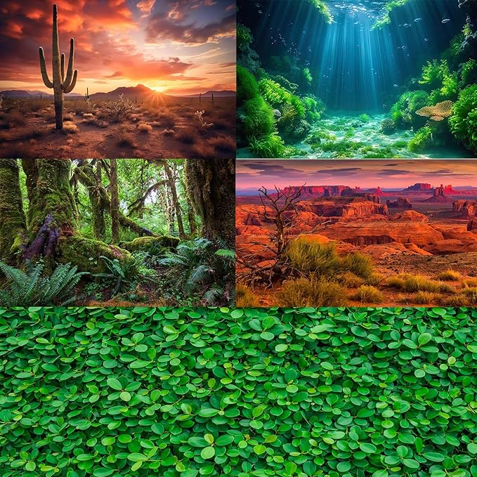 Tropical Beach Aquarium Background Ocean Sea Sandbeach Fish Tank Background Ocean Seascape Terrarium Backgrounds Sunny Blue Sky Clouds Seacoast Ocean Sea Waves Reptile Tank Backgrounds 30x12in