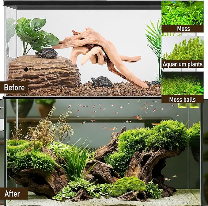 Kaiyuan Dynasty 5Pcs 6-8" Sinkable Spider Wood Natural Aquarium Decor Spiderwood for Reptile Decor Fish Tank Decorations Aquatic Plants Hardscaping