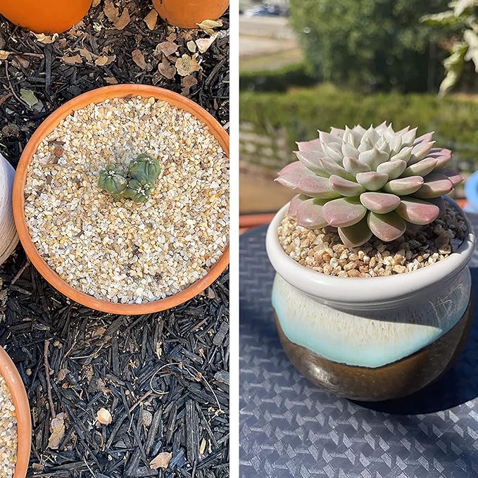 Avalution 2mm-4mm Coarse Sand Stone Plant Decorative Gravel Succulents, Cactus Bonsai Gravel, Terrarium Filling DIY Gardening Indoor & Outdoor Garden Bonsai Decoration-3LB