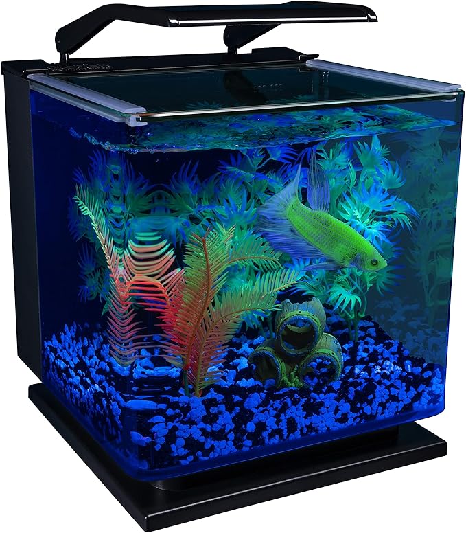 GloFish Betta Shadowbox Aquarium Kit