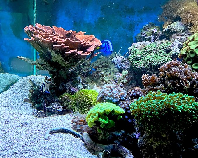 Seachem Matrix Carbon 100ml