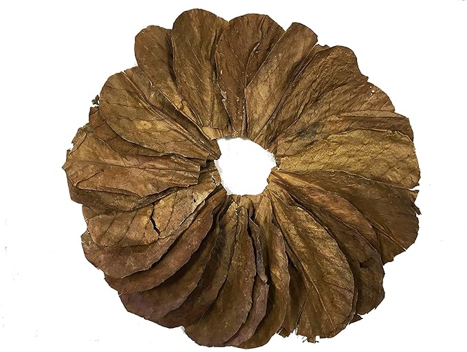 Awesome Aquatic Betta & Shrimp Leaves 50 4"-6" Premium Catappa Indian Almond Leaves Natural Habitat Tannin Producing Improves Immunity, Easy to USE