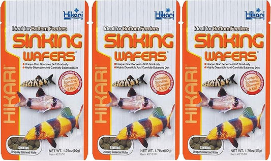 Hikari Tropical Sinking Wafers Fish Food [Set of 3] Size: 1.76 Ounces