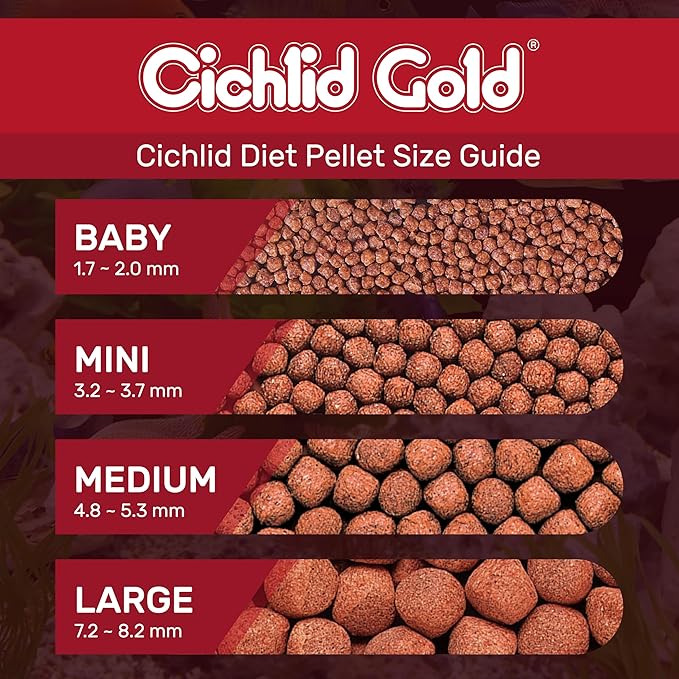 Hikari 2-Ounce Cichlid Gold Floating Pellets for Pets, Medium