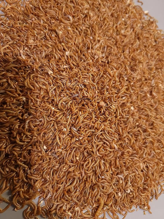 Predator Foods Bulk Live Mealworms- Medium ~.5" - 1,500-20,000 Count (1500)