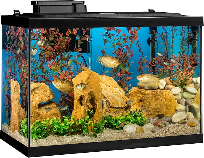 Tetra Aquarium, 20 Gallon, Complete Tropical Fish Tank Kit With LED Lighting And Decor For Freshwater Fish