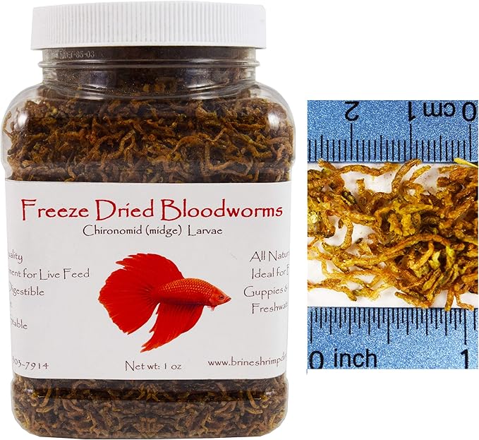 Brine Shrimp Direct Freeze Dried Bloodworms, 1 oz