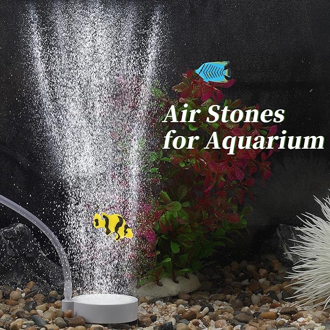 Fish Tank Bubblers Air Stone, Nano Air Disk Stone, Oxygen Diffuser for Air Pump, Air Stone Aquarium Kit, 1.97 Inch, 1 Set