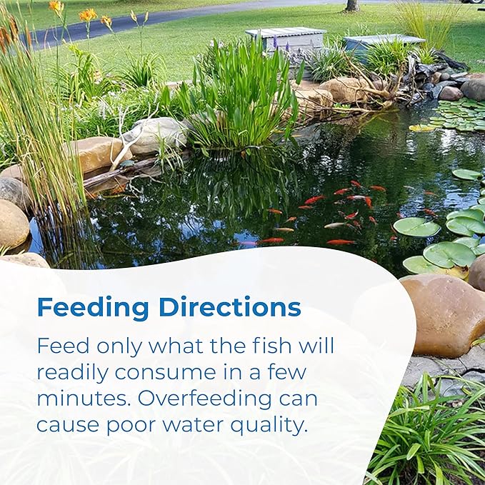 Toledo Goldfish Ornamental Live Goldfish and Koi Food for Ponds, Aquariums, and Tanks - Mini Floating Pellets - 1.5mm, 24 Ounces