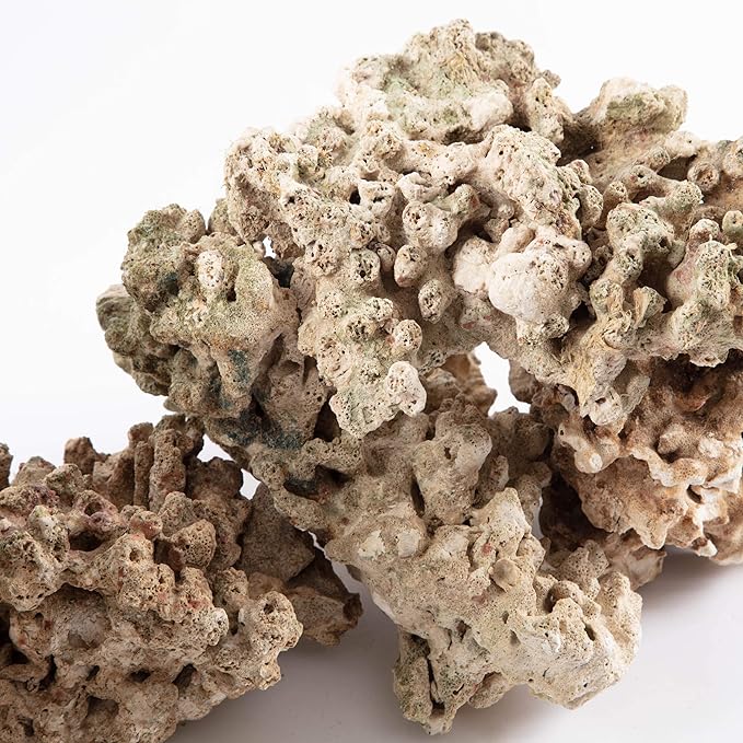 Aquarium Dried Reef Rock Mixed Pack (10kg)