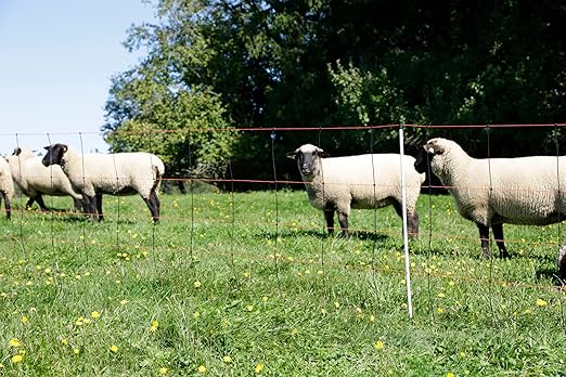 Kerbl 27352 Titan Light Net, Double Tip, 50 m x 90 cm