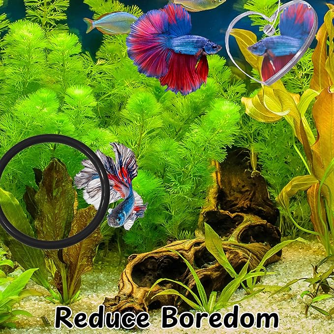 Betta Ring and Mirror Toy for Aquarium, 2 pcs Betta Ring Enrichment Toys, Floating Exercise Mirrors for Fish Tank and Training Feeding Rings, Fish Toys, Aquarium Accessories (Black, M-Heart)